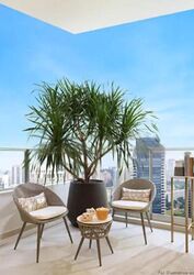 The Avenir (D9), Condominium #520887811
